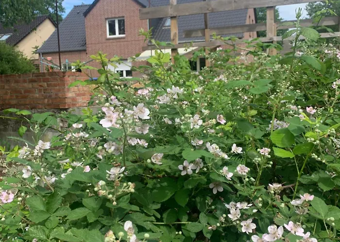 Casa rural Sonniges Haus *